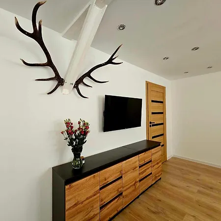 Апартаменты Pogodne Wzgorze *