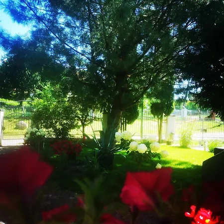 Апартаменты Pogodne Wzgorze *