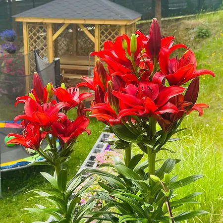 Апартаменты Pogodne Wzgorze Wapnica (West Pomeranian)