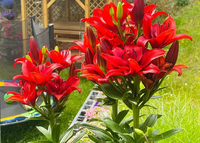 Apartamento Pogodne Wzgórze Wapnica (West Pomeranian)